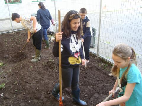 Trabalhos diversos na horta por um grupo de alunos, semanalmente grupos de alunos vão à horta fazer a manutenção.
